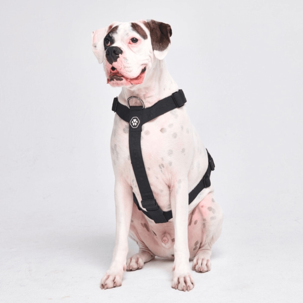 SPARK PAWS Comfort Control No-Pull Dog Harness